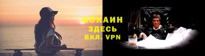СК Покачи