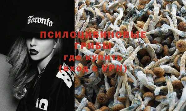 spice Пересвет