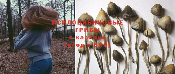 а пвп мука Покров
