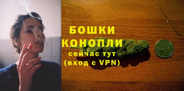 СК Покачи