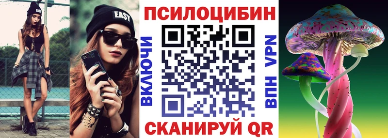 гидра как зайти  Чехов  Псилоцибиновые грибы Cubensis 